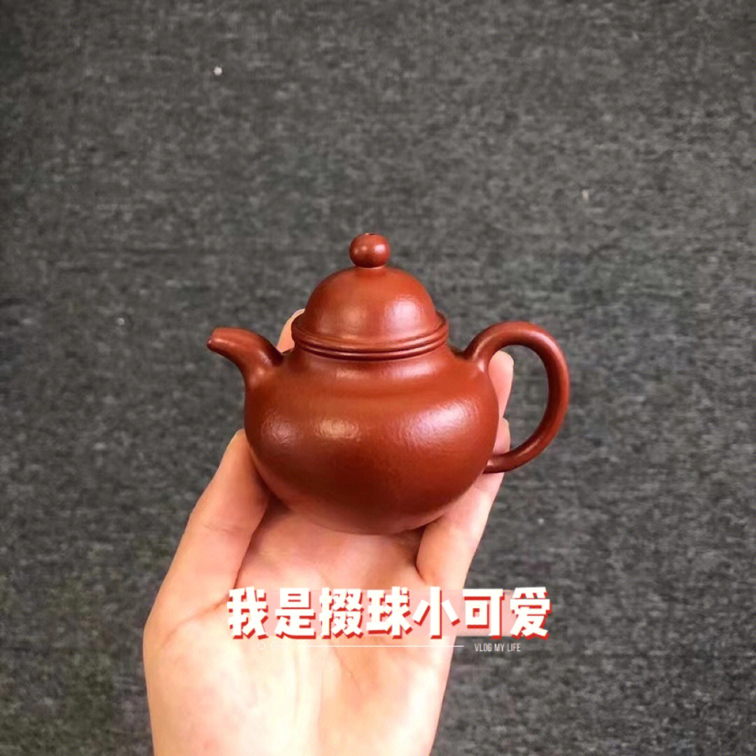 潘洪法紫砂壶简介图片