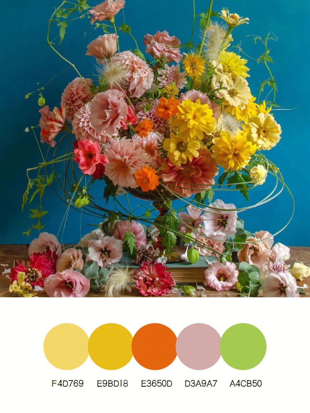 花艺色彩搭配42种口诀图片