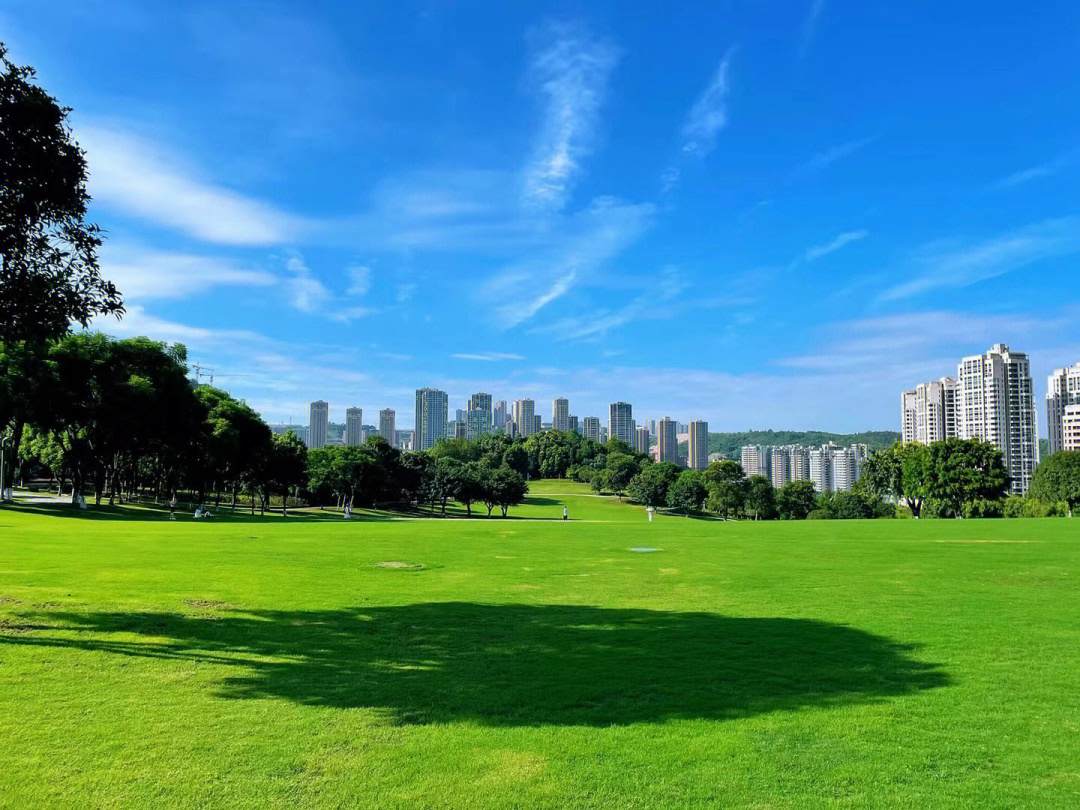 重庆中央公园 实景图片