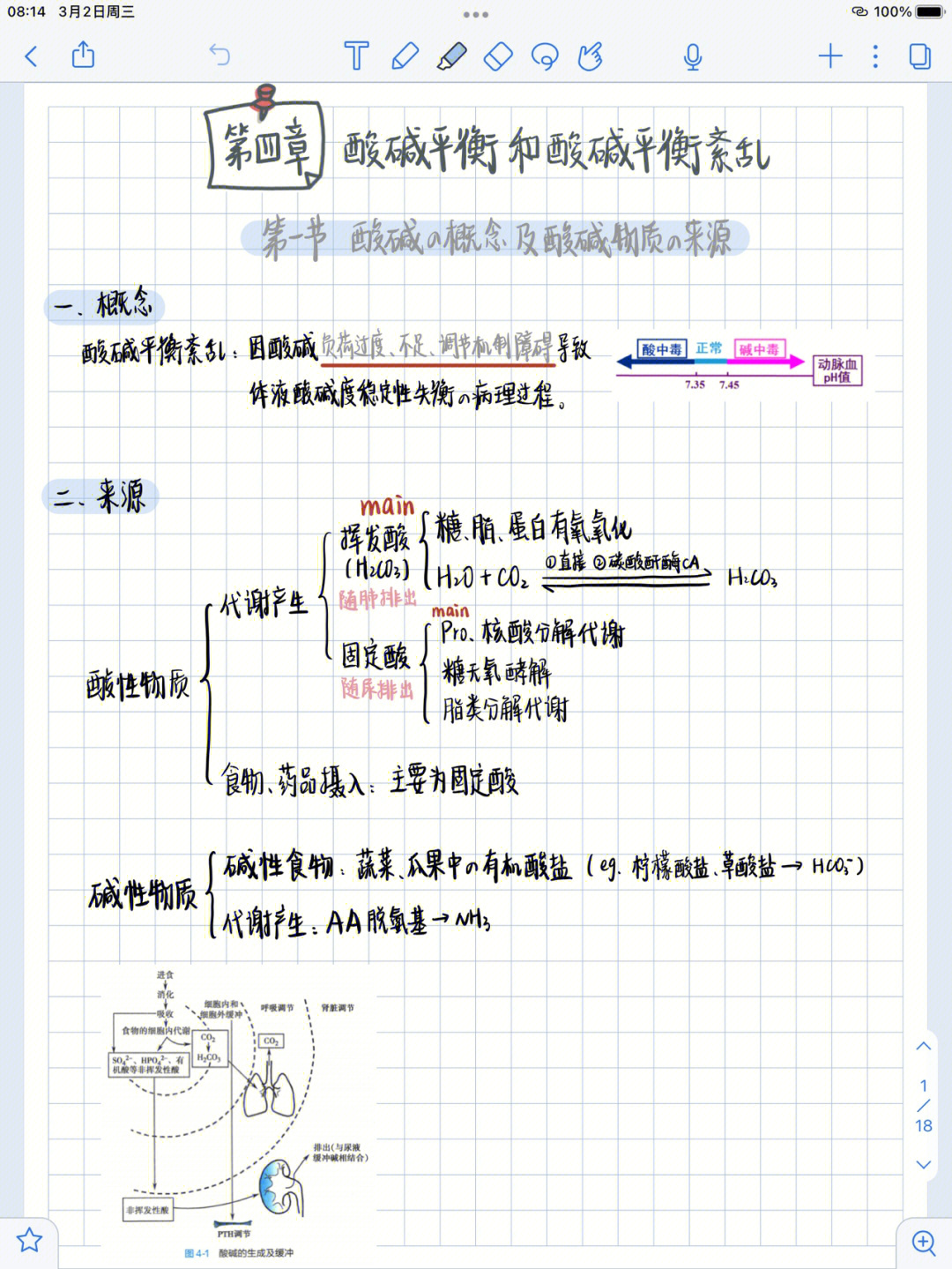 病生酸碱思维导图图片