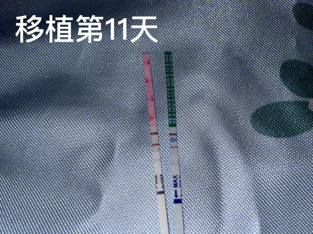 hcg800大卫试纸颜色图片