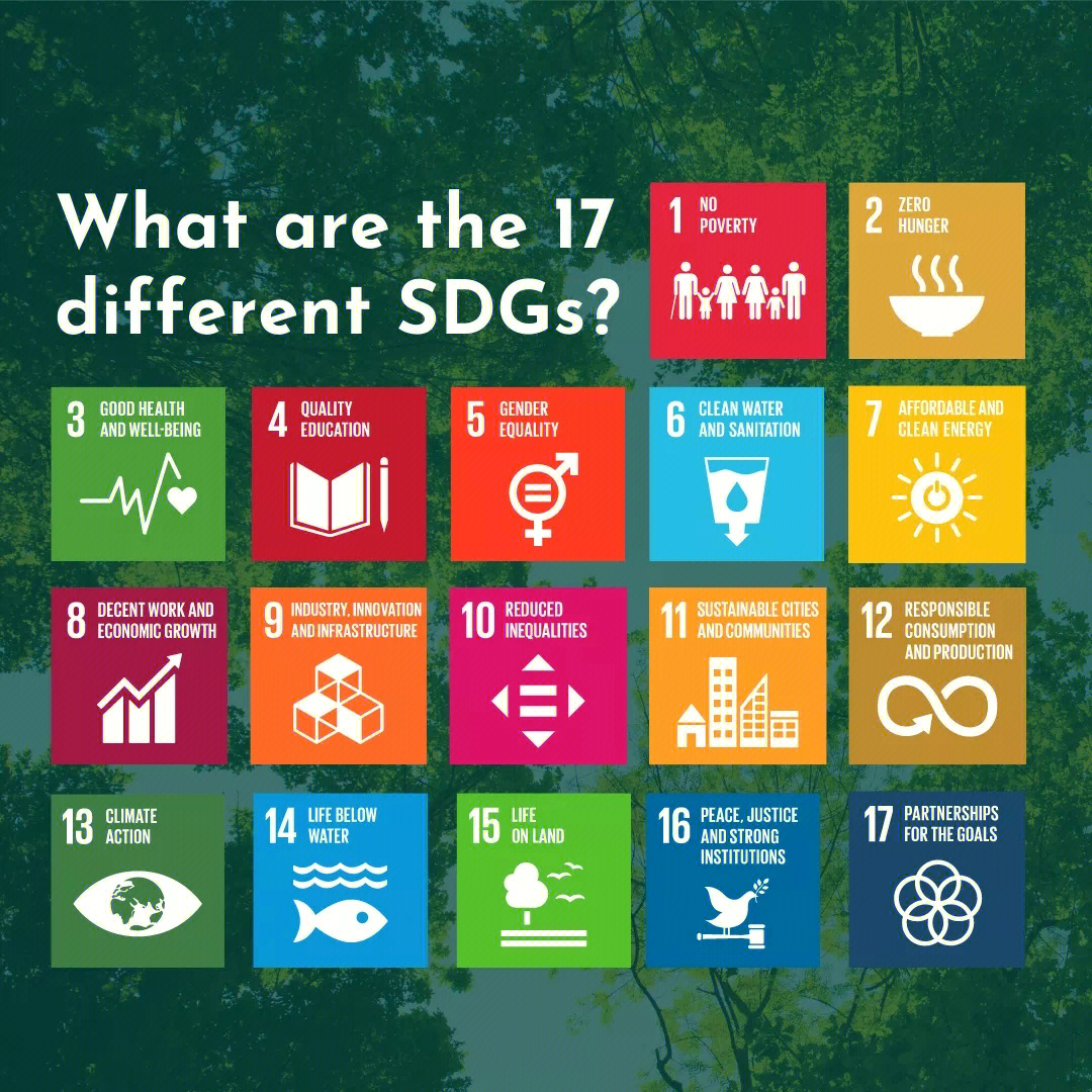 可持续发展目标(sdgs)也被称为全球目标,是联合国在2015年通过的一项