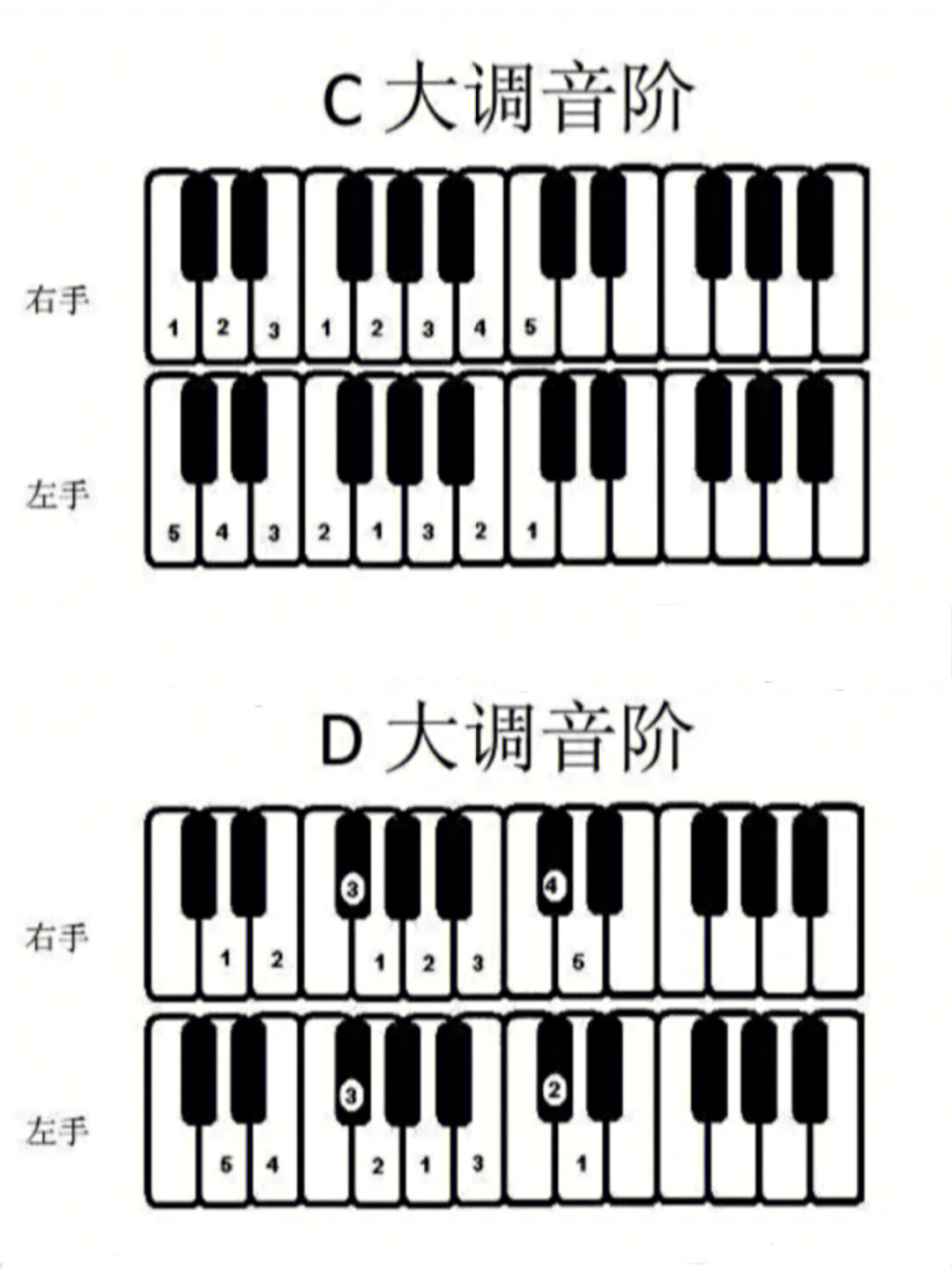 钢琴八级音阶示范图片