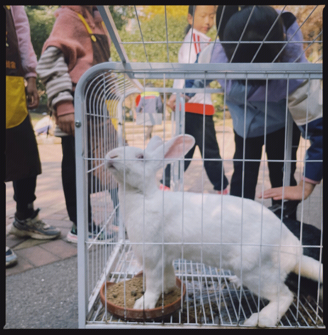 马鞍山雨山湖动物园图片