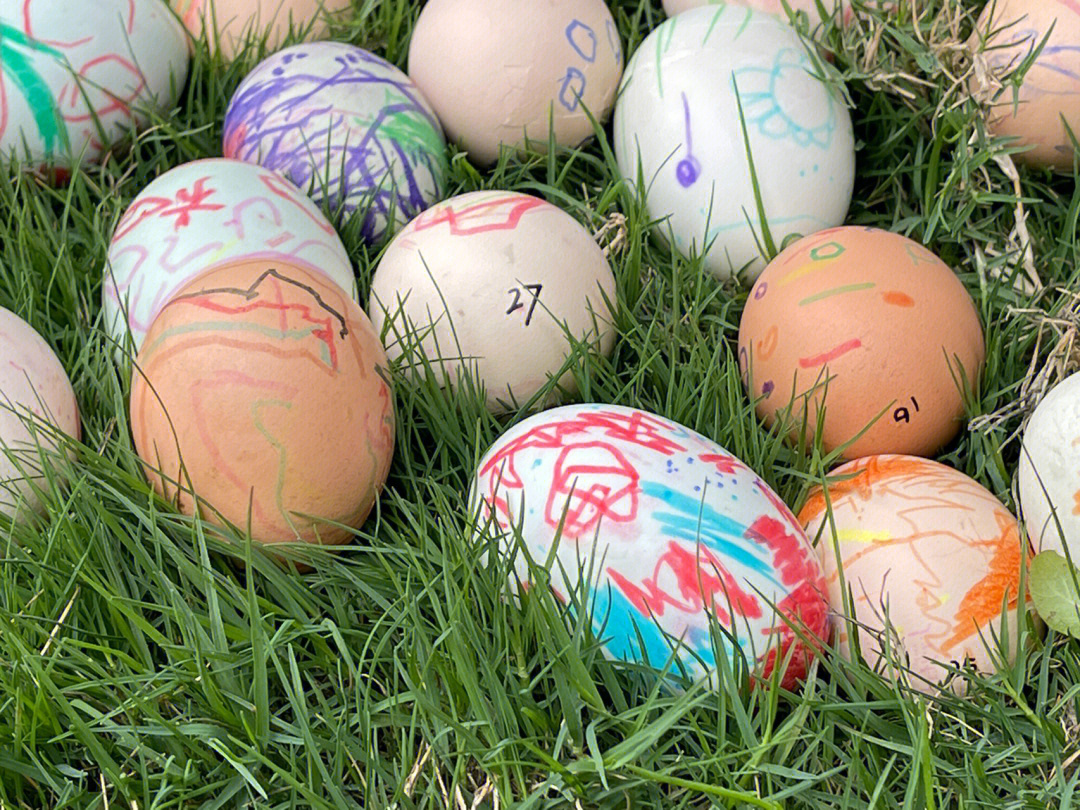 鸡蛋涂鸦清明节
