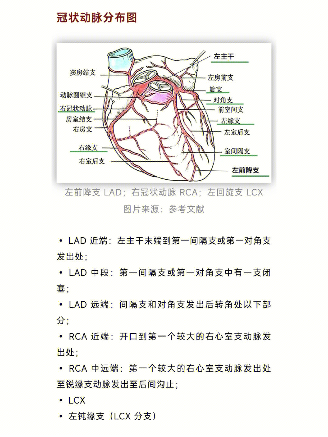 冠状动脉与心电导联轴的关系详细版