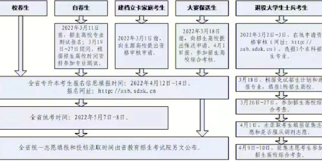 山东专升本报名流程图图片