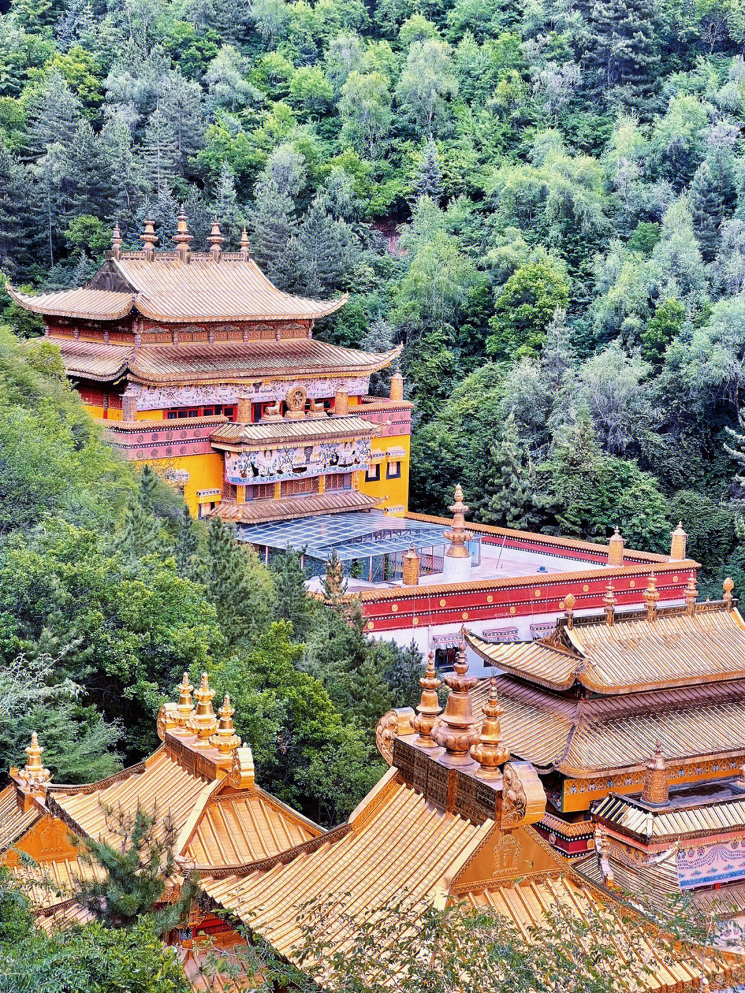 兰州灵岩禅寺图片