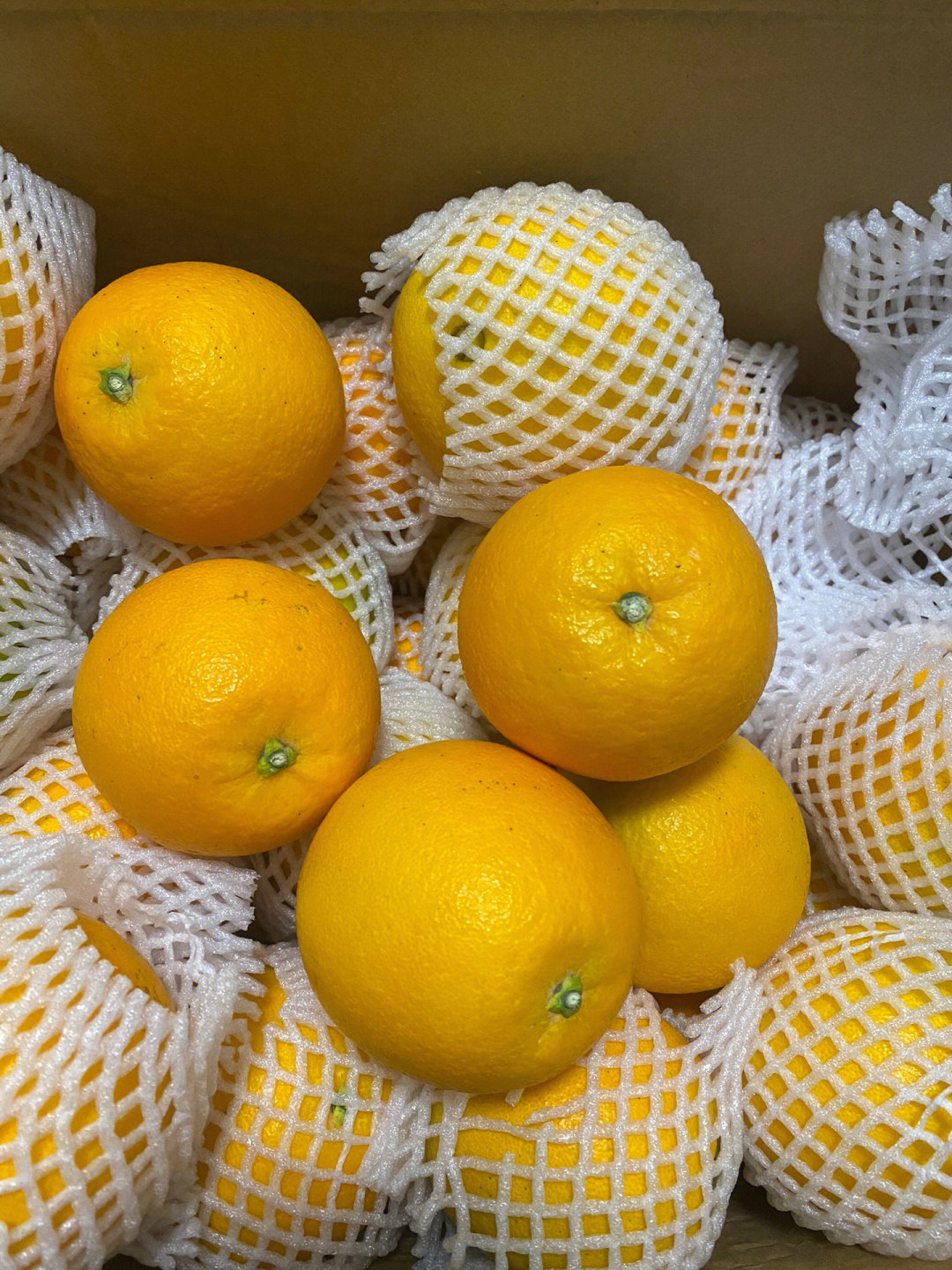 赣州寻乌自家果园的赣南脐橙