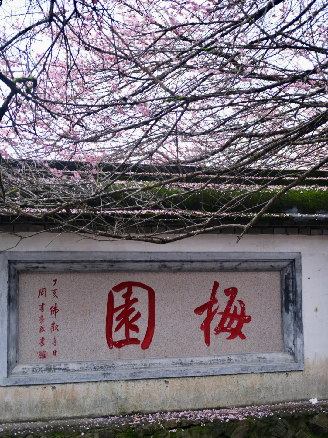 林阳寺方丈图片