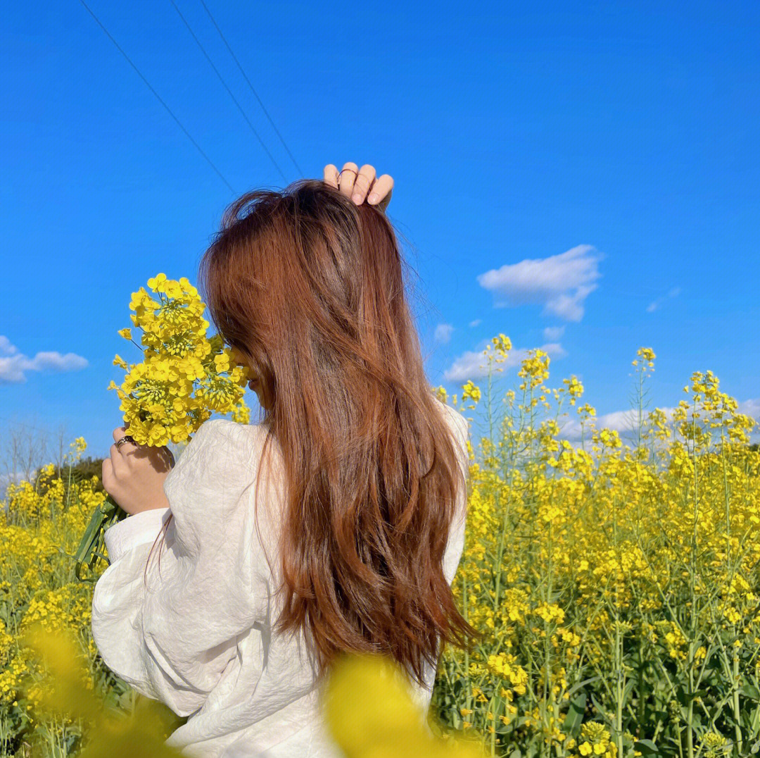 油菜花头像女图片