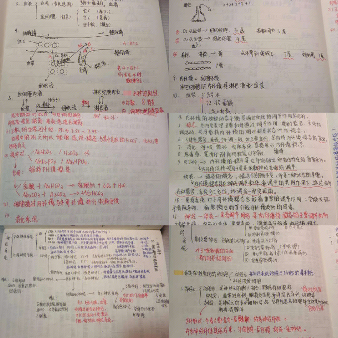 高中生物选修一笔记