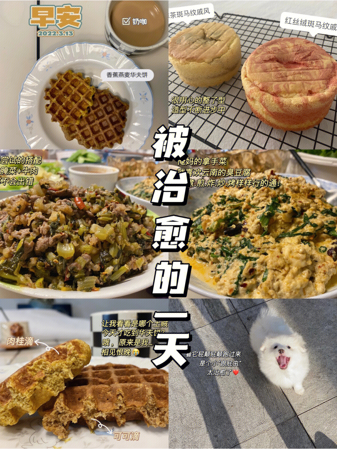 lunch的中文图片