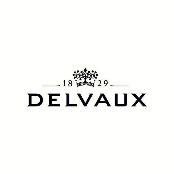 delvaux官网图片