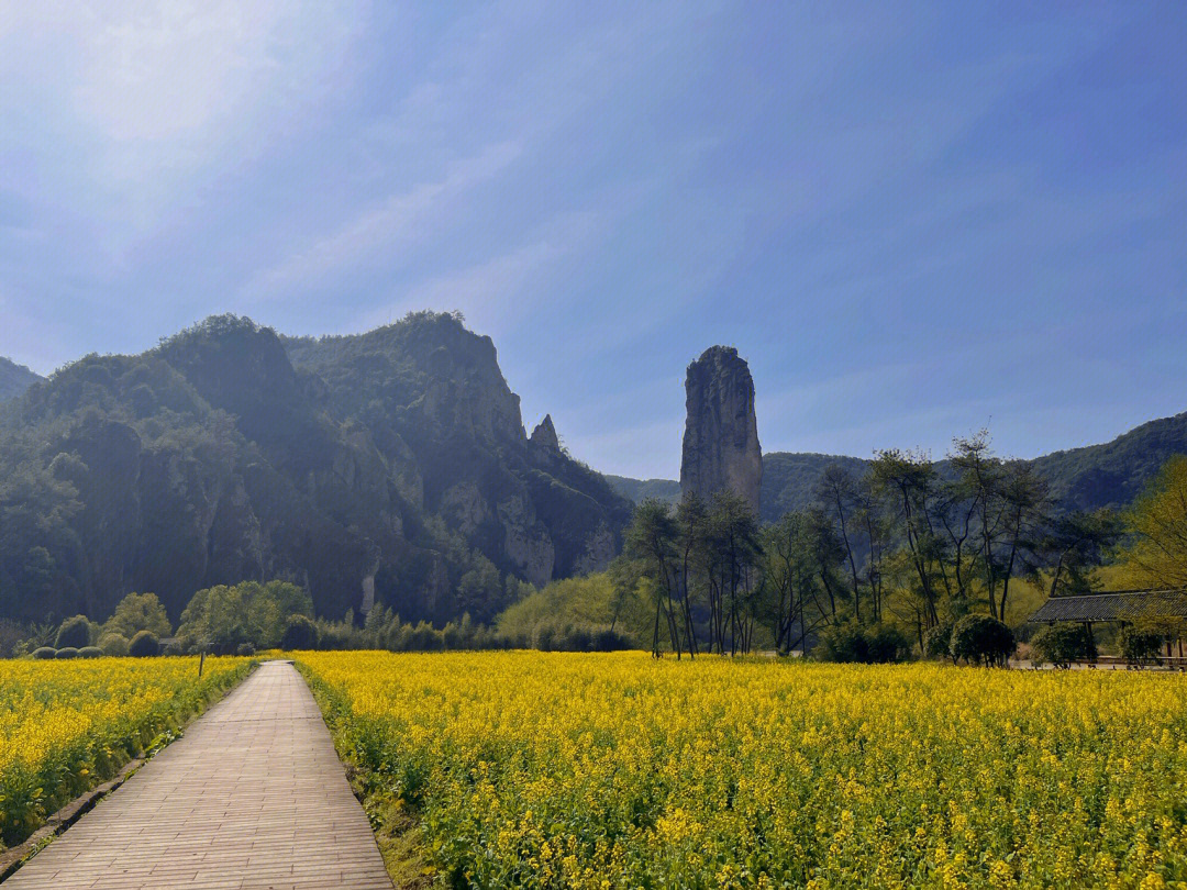 仙都风景区朱谭山油菜花