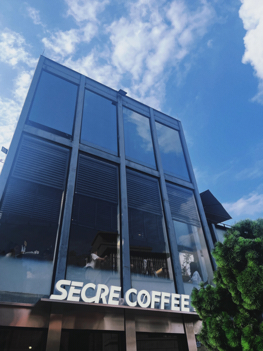 secre coffee图片