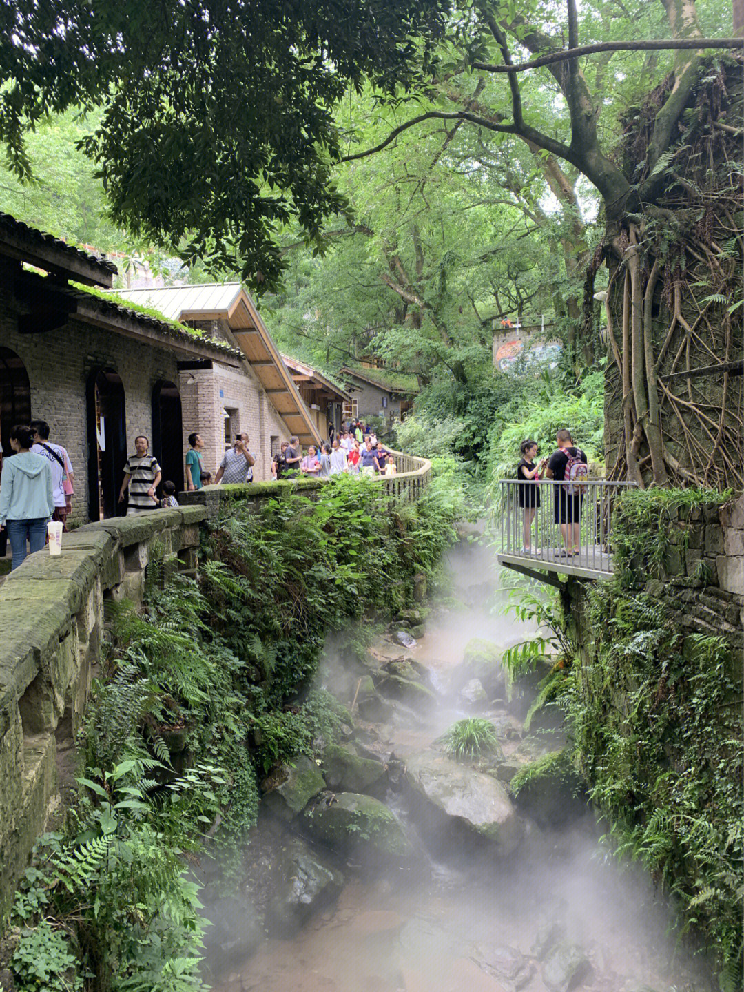 北碚野温泉太坑了图片