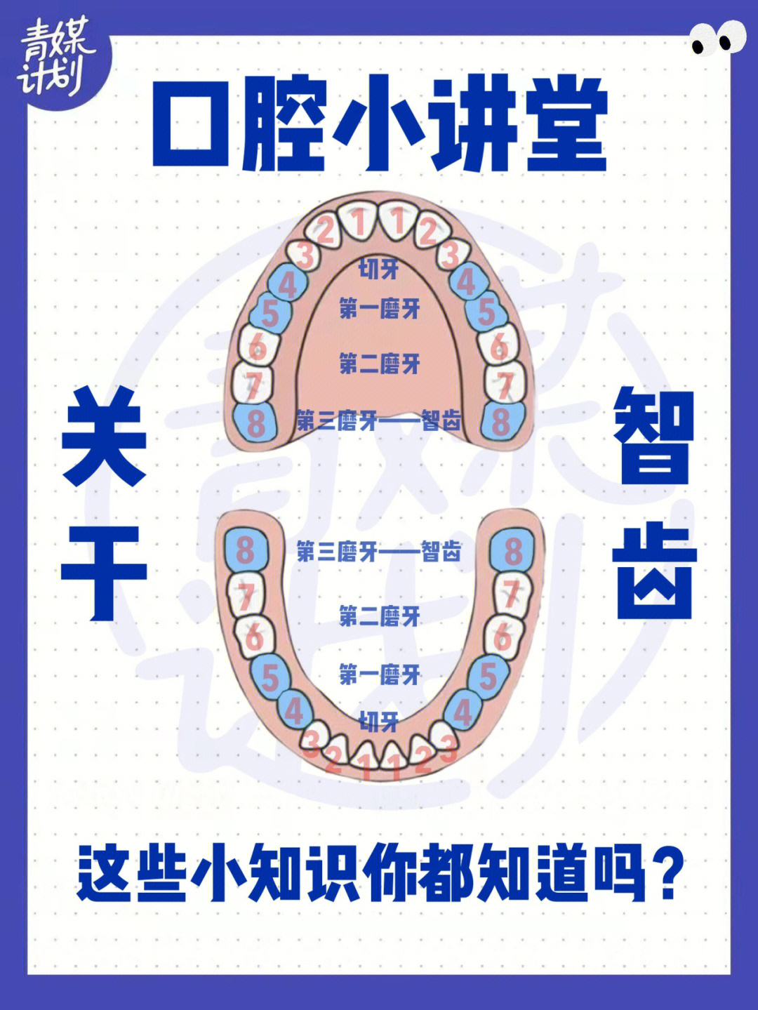 拔智齿恢复过程图解图片