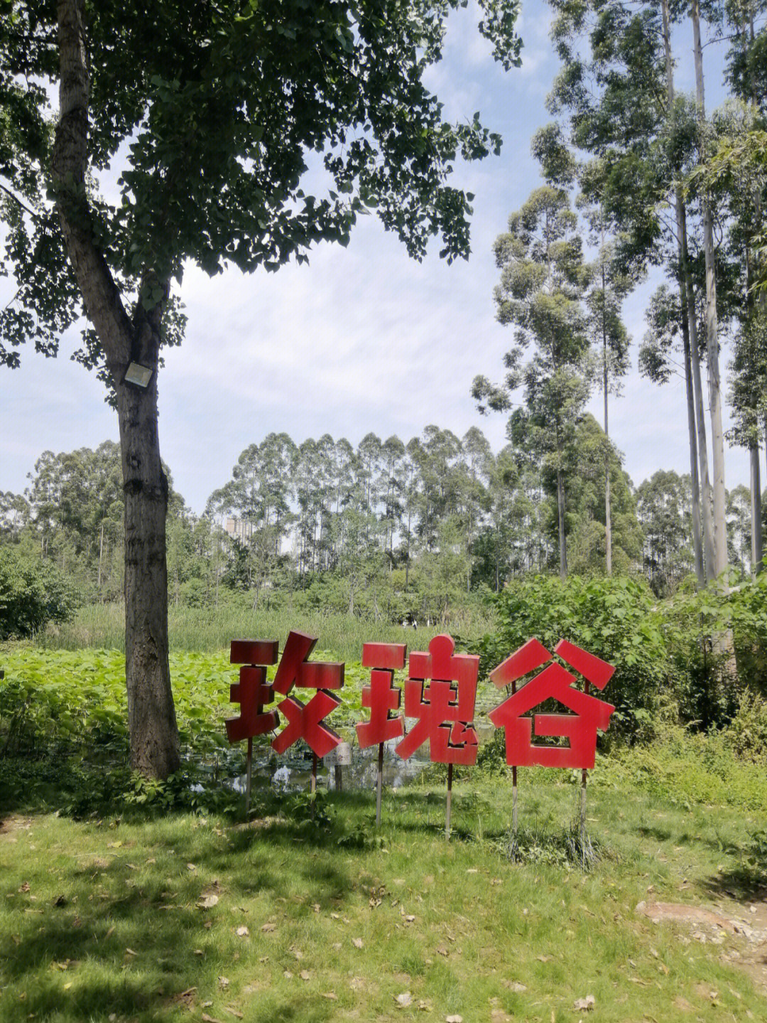 三圣乡幸福梅林景区图片