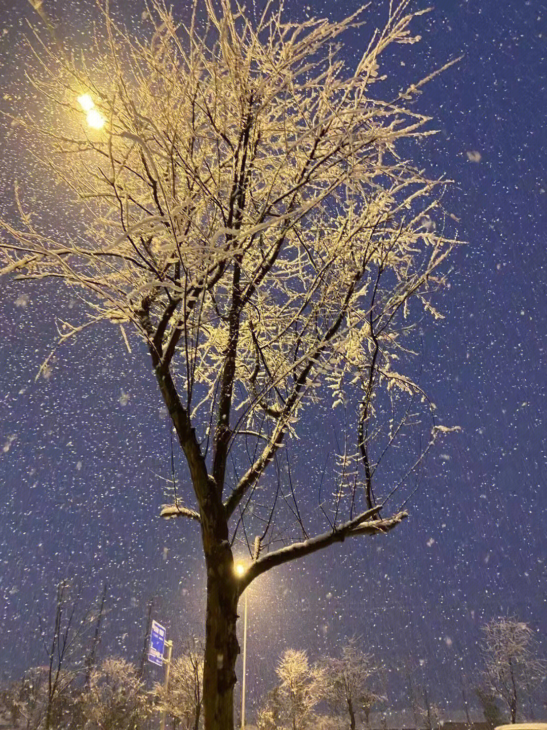 大雪纷飞图片真实艳阳图片