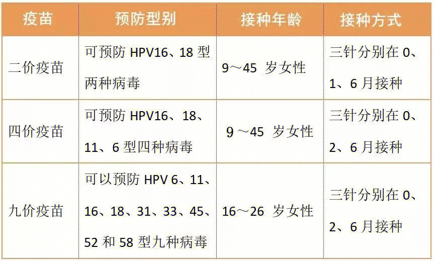 hpv是什么病 正常图片