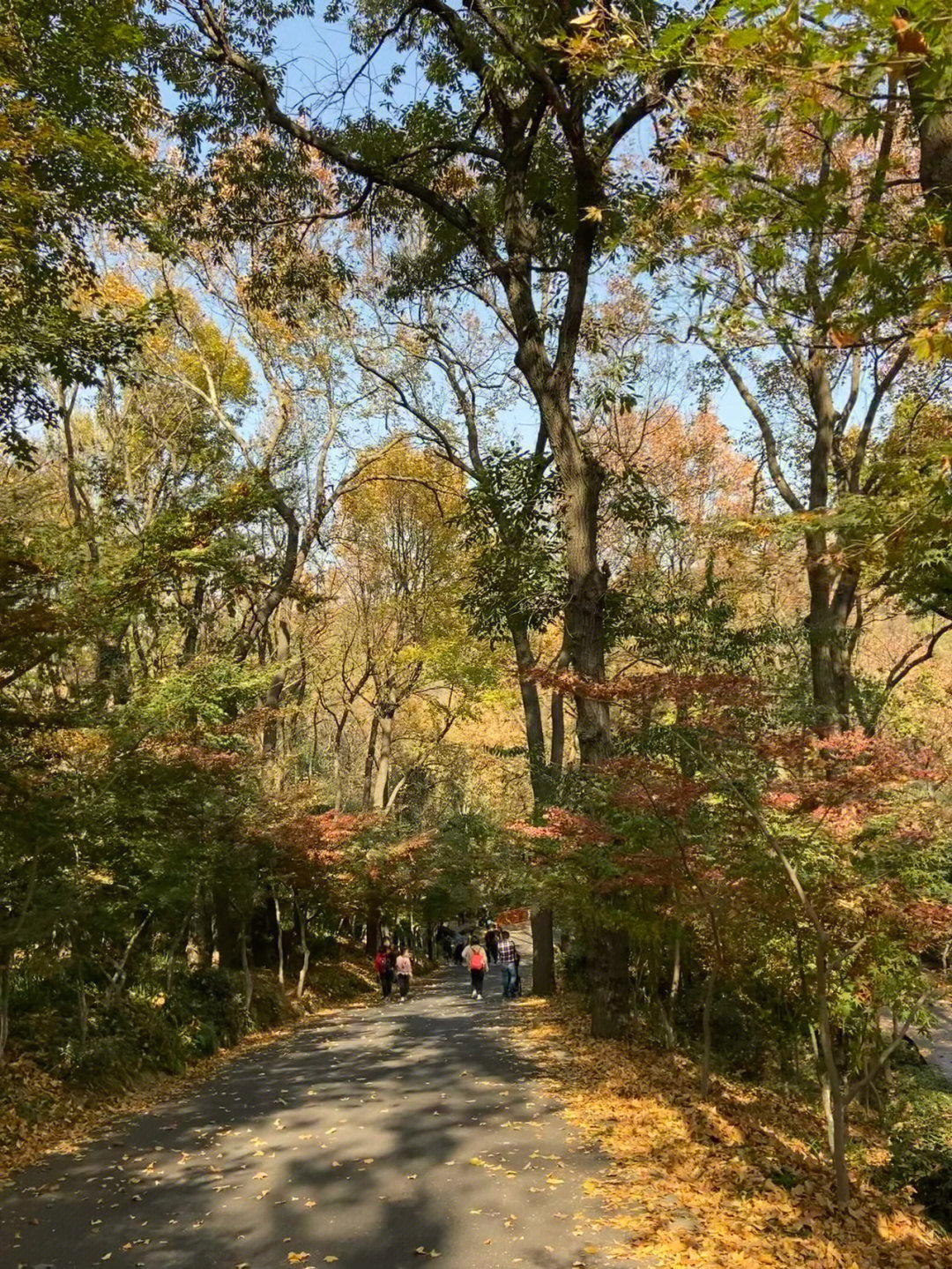 南京栖霞山