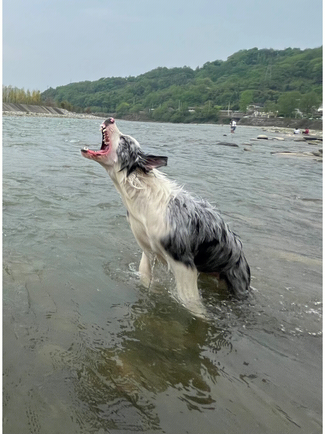 海窝子湿地公园图片