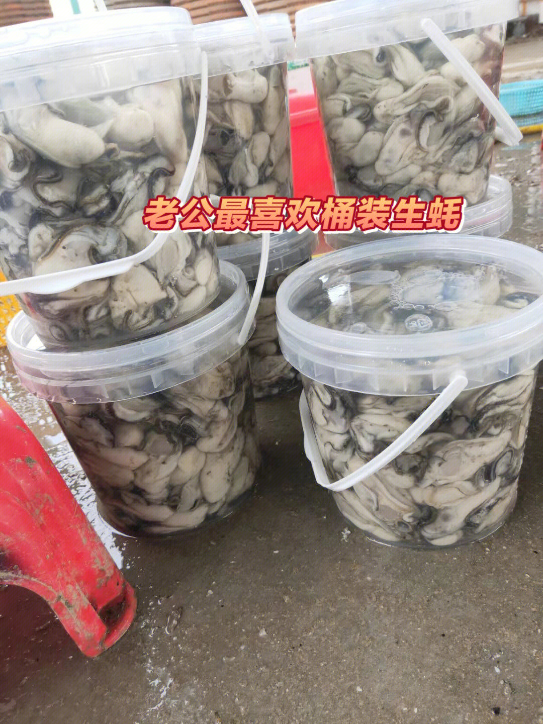 长期大量收购牡蛎壳图片