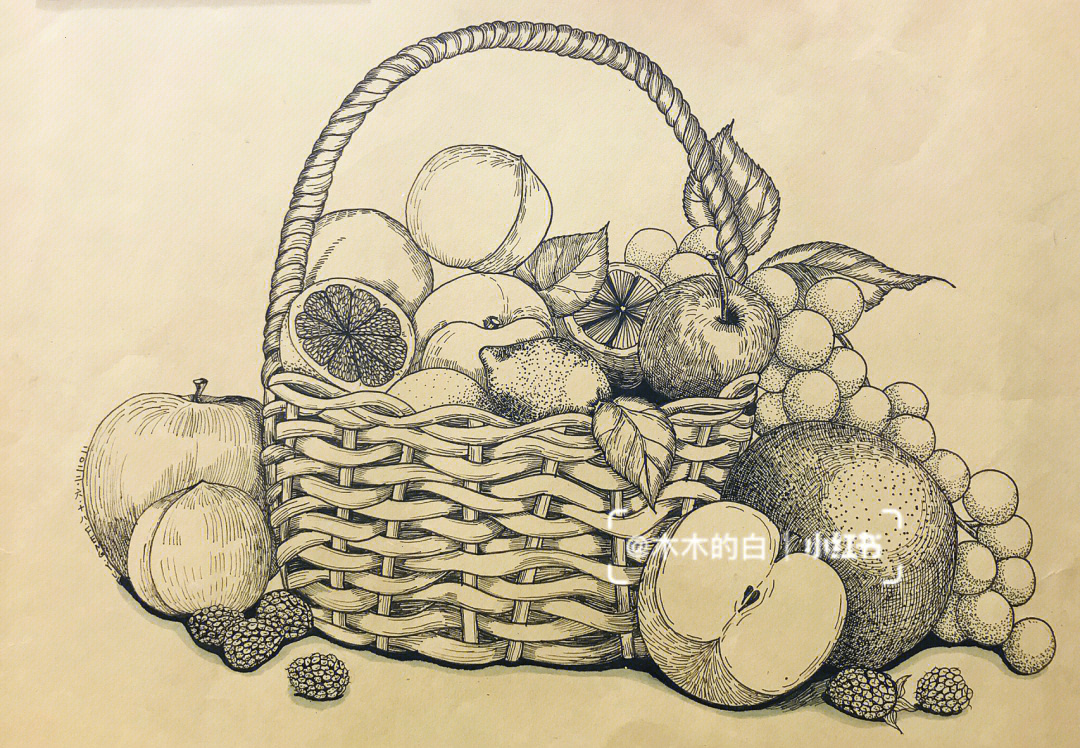 水果线描画水果篮图片