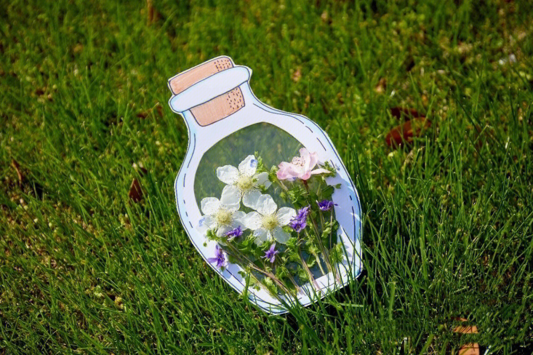瓶子里的春天美篇图片