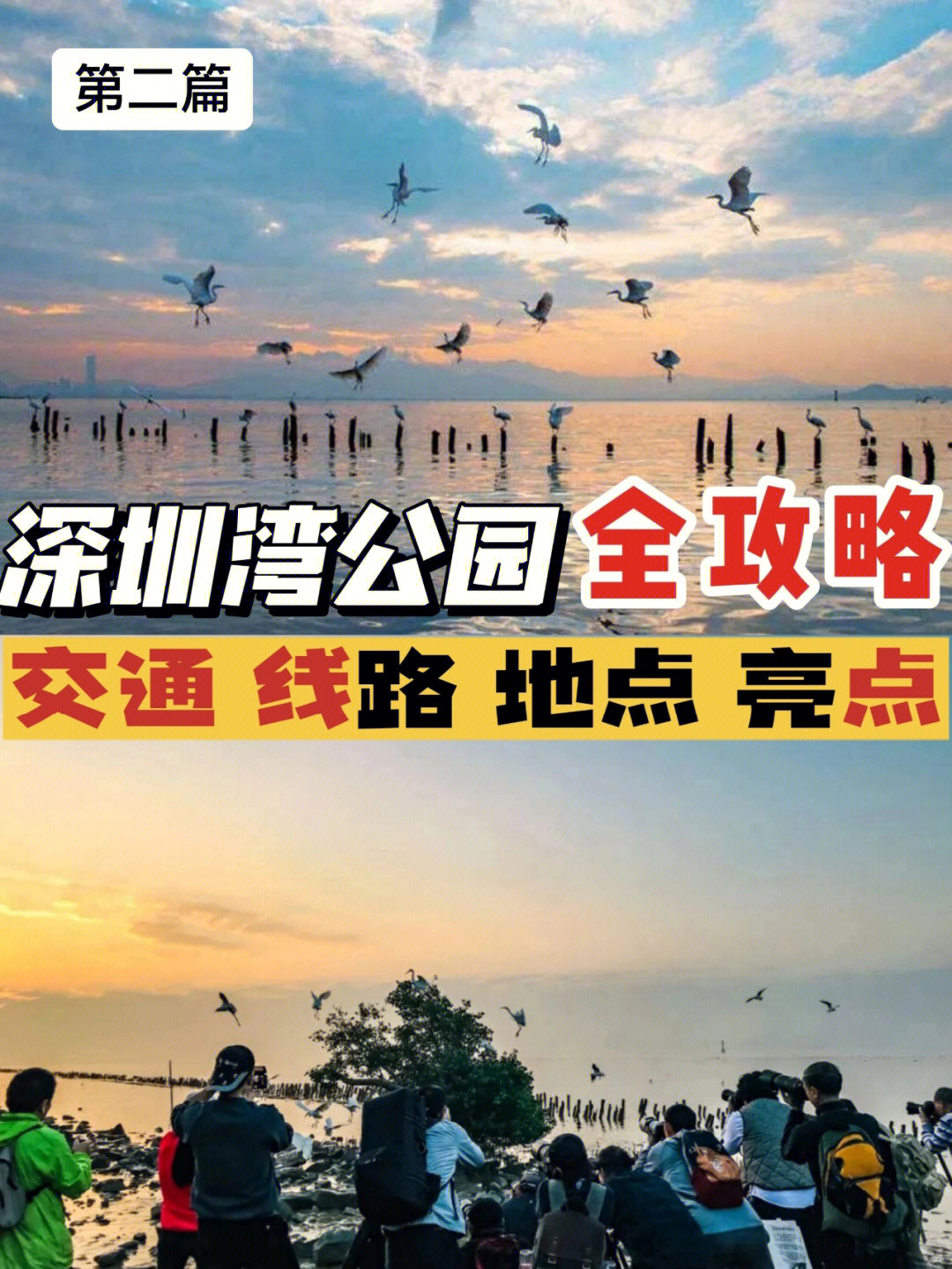 深圳湾公园遛娃全攻略内含8个地点介绍