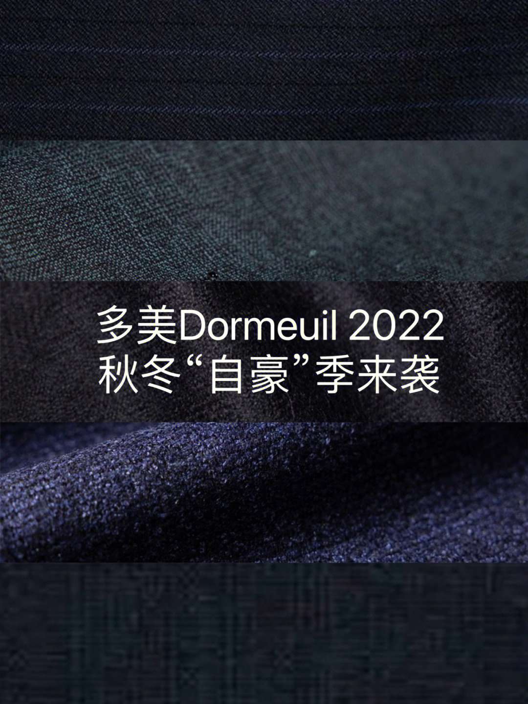 多面绅士多美dormeuil2022秋冬自豪季