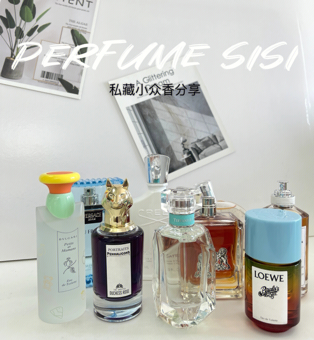 情s人间perfume图片