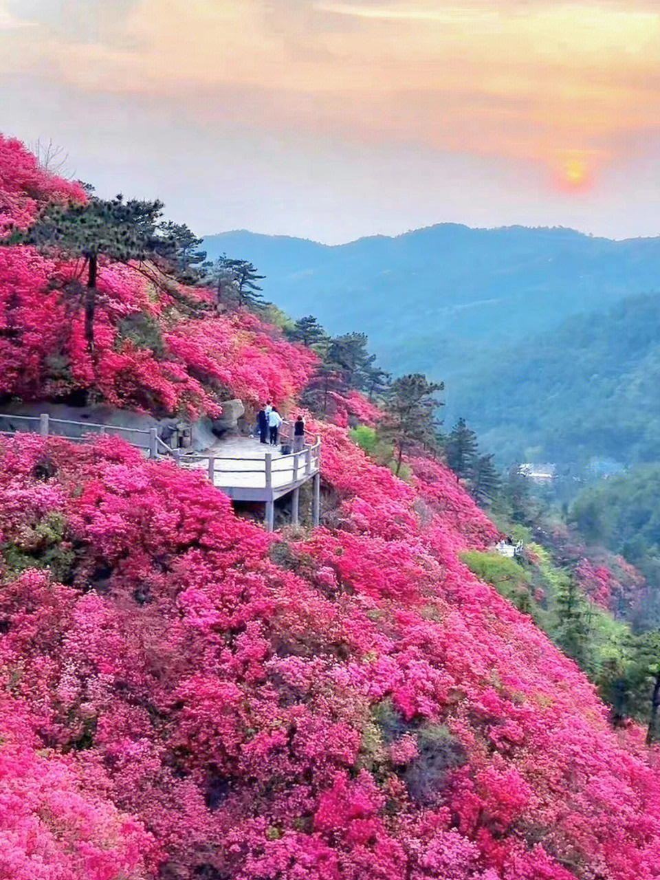 汉中云雾山风景区图片