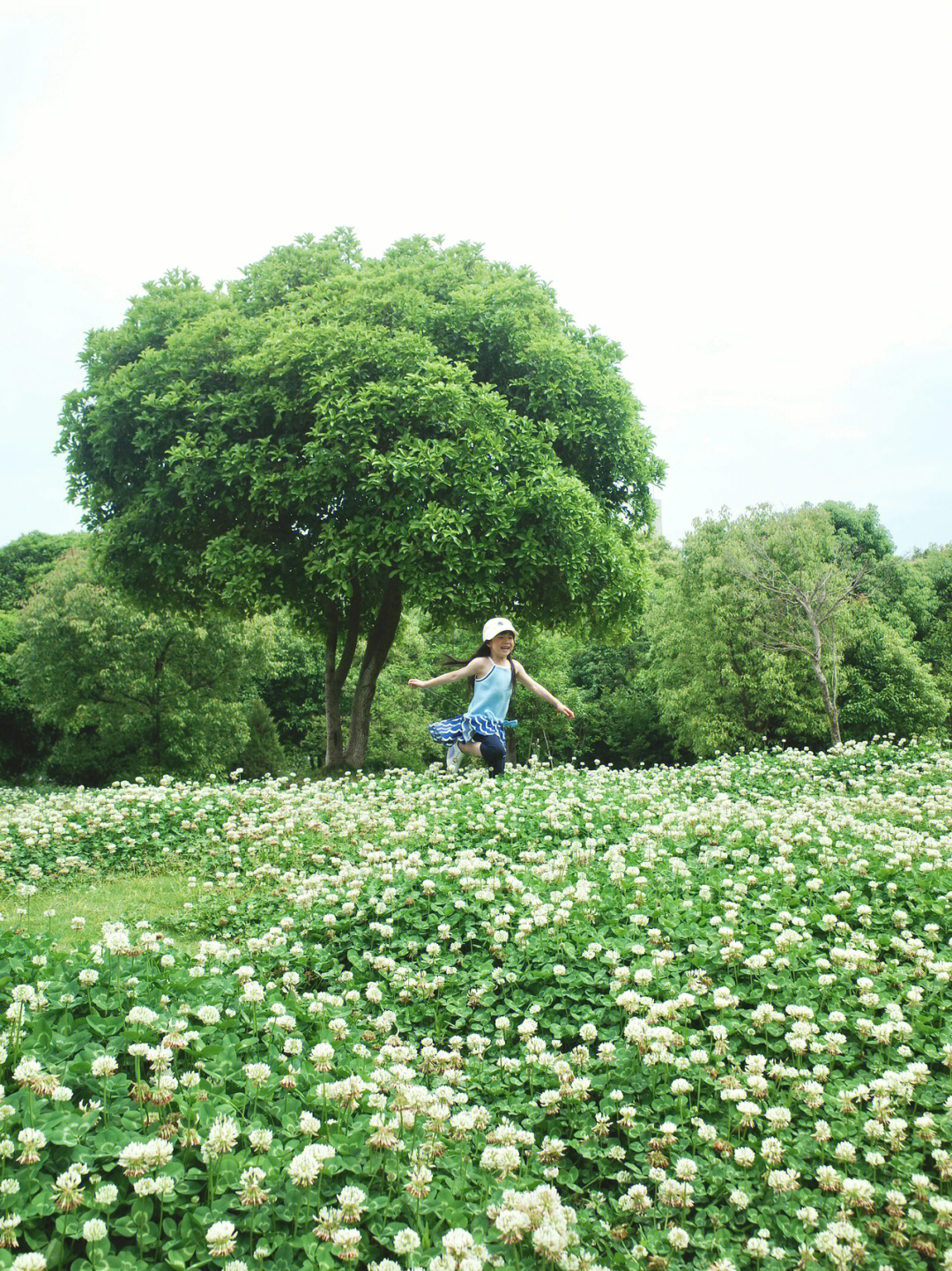 椒江下陈花海图片