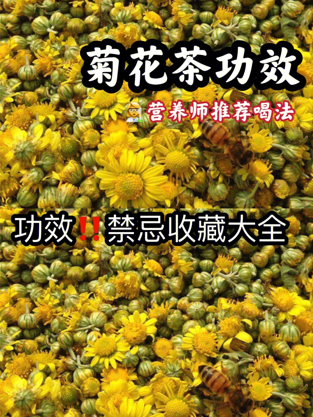 喝菊花茶有什么好处图片