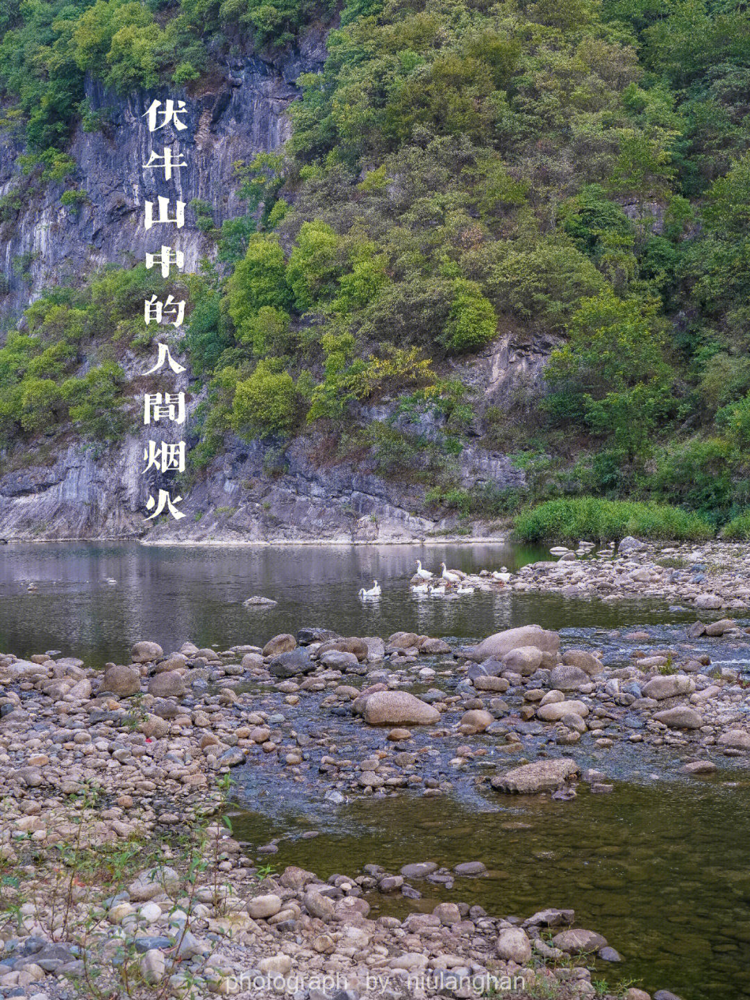 河南八百里伏牛山风光无限,坐拥众多a级景区,光南阳境内就有老界岭