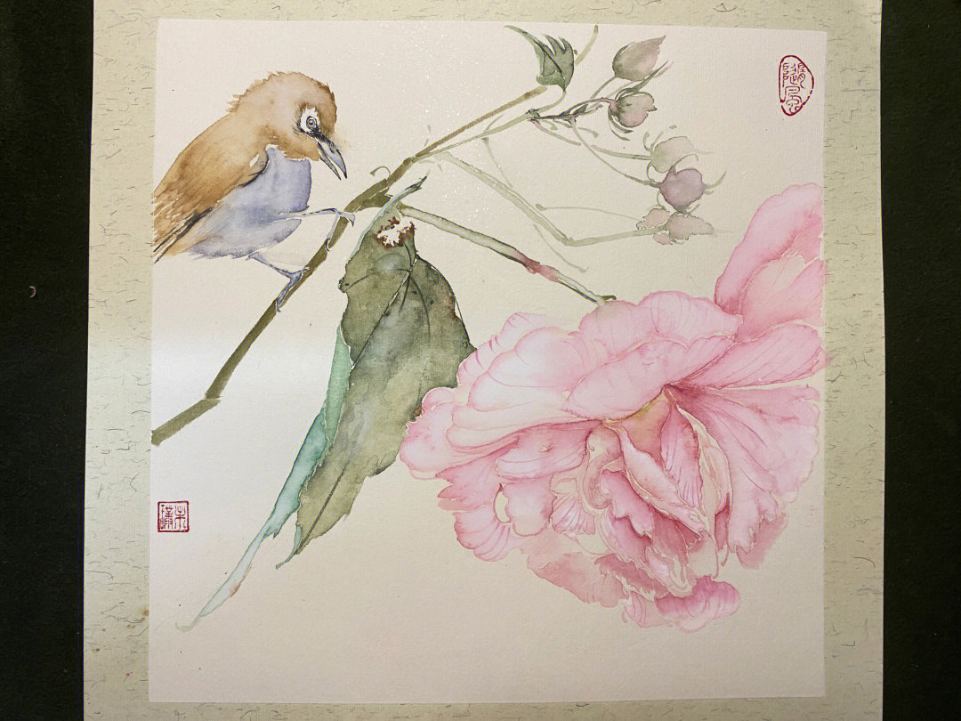 这一幅画画了好几天我再多画几遍#国画 #没骨画  #芙蓉花 #绣眼鸟 #月
