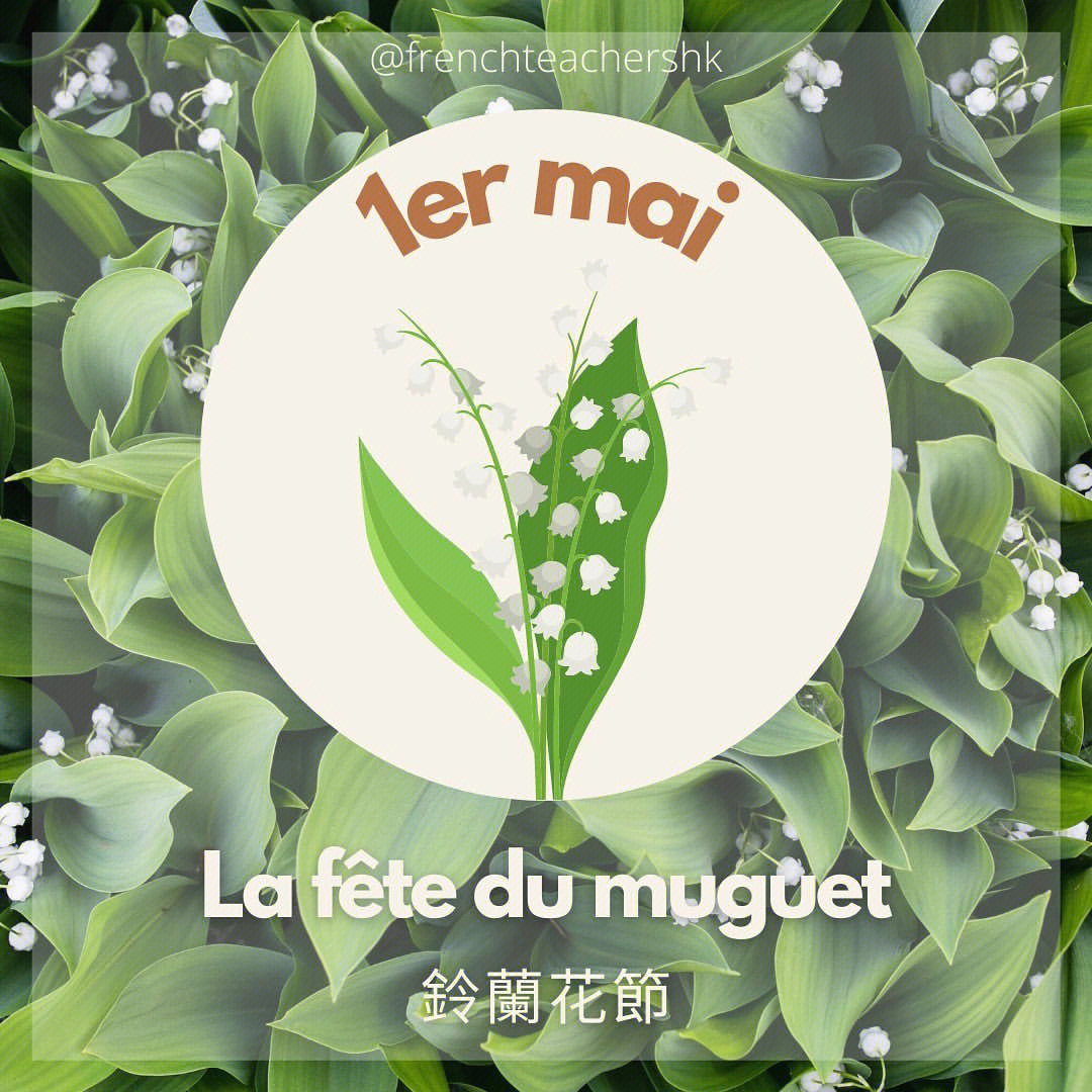 在法国,每年的四月底五月初,是人们互赠铃兰花的日子