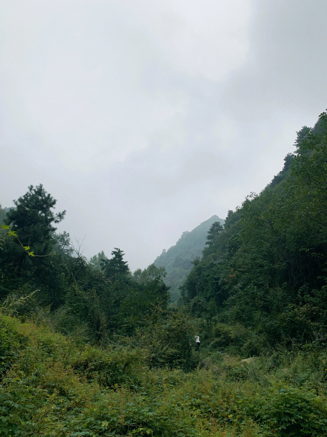 西岔沟景区图片