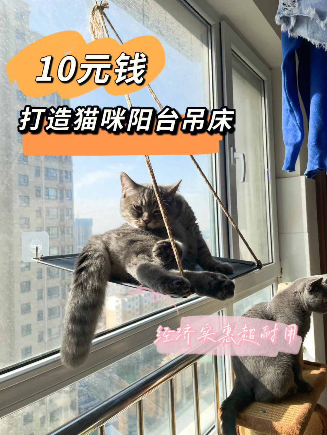 衣架自制猫吊床图片