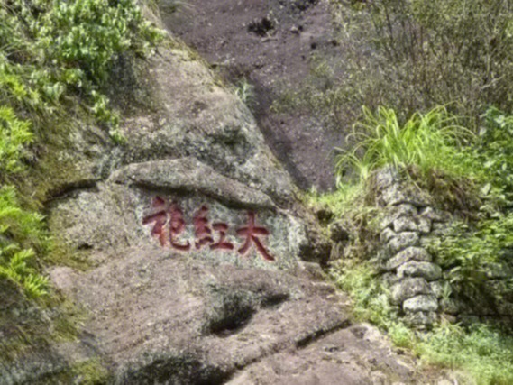 大红袍的故事与历史文化#大红袍传说一很早很早以前,武夷山慧苑岩住有