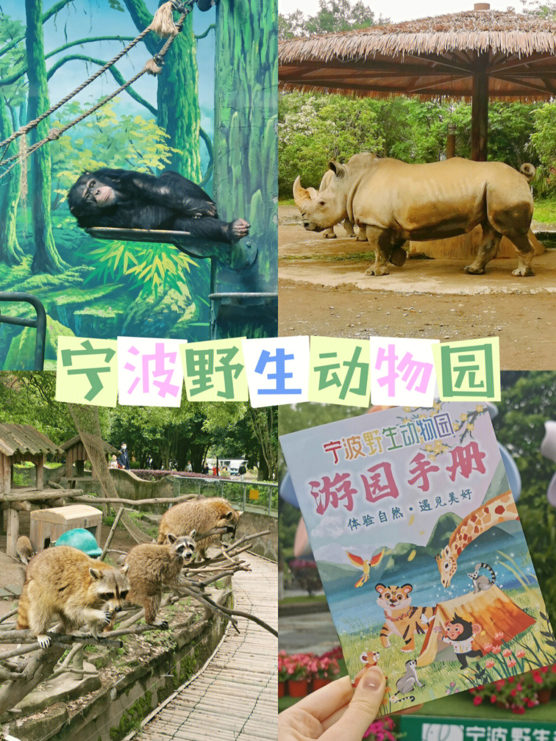 宁波野生动物园多大图片