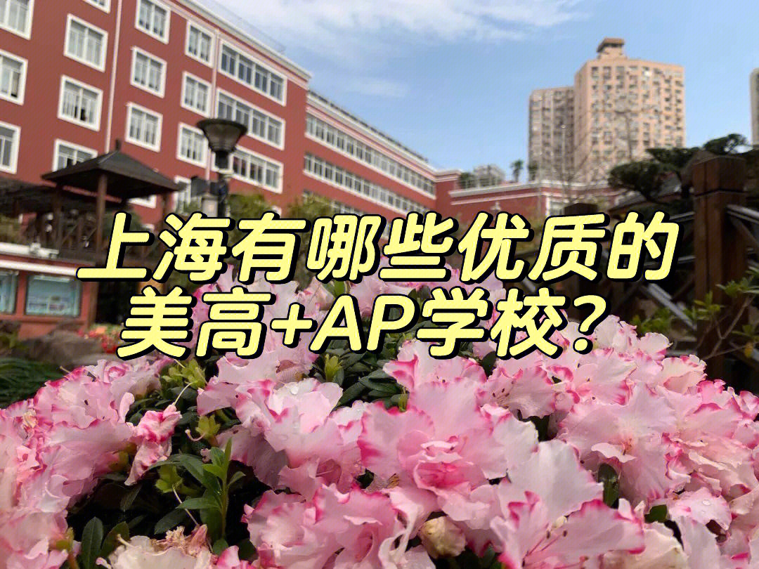 7所上海优质美高ap学校每所都好