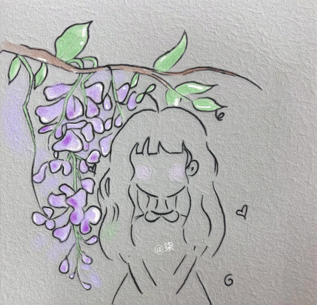 紫藤萝怎么画简笔画图片