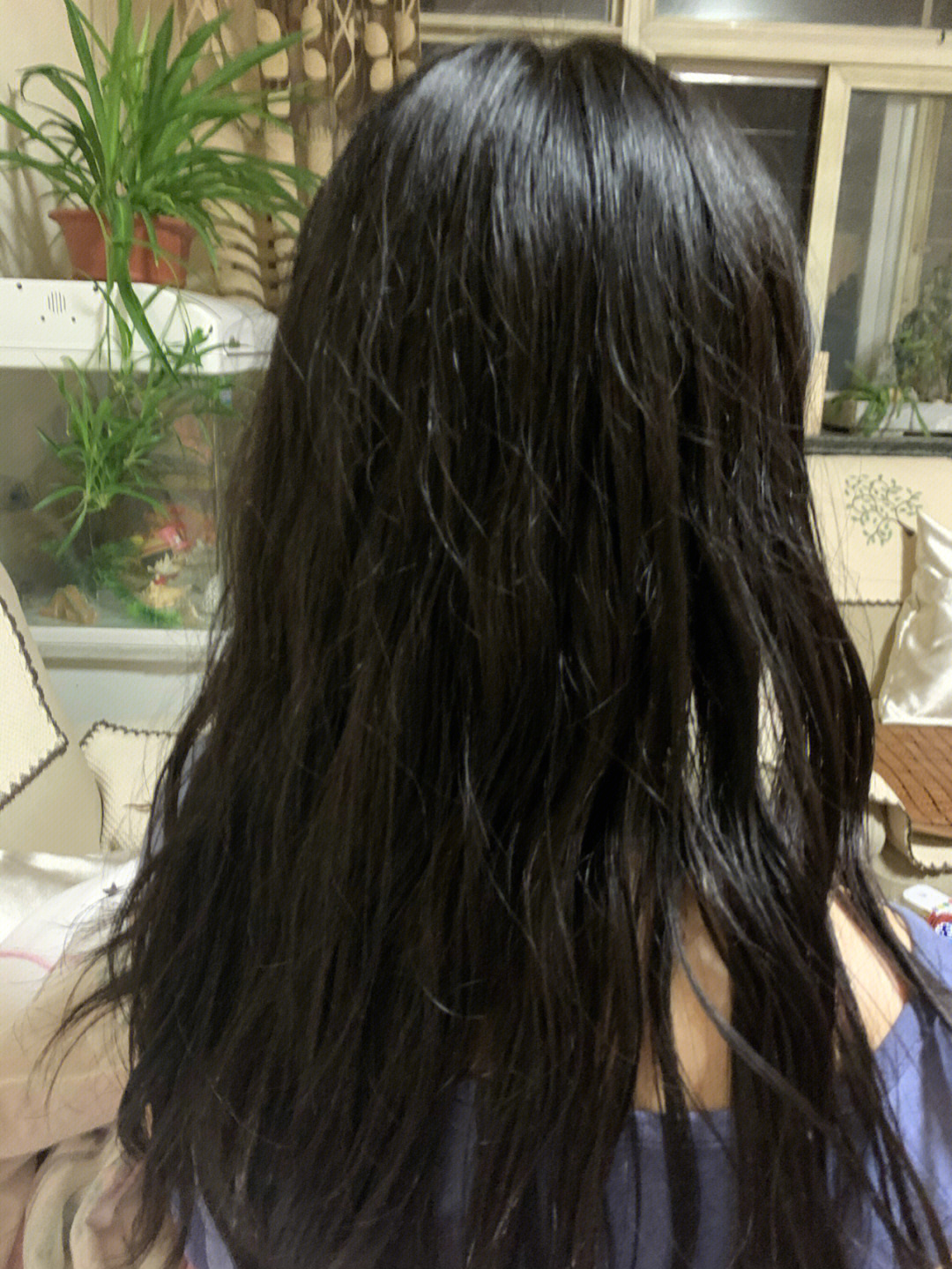 爱茉莉泡泡染发剂7k黑发直染掉色过程