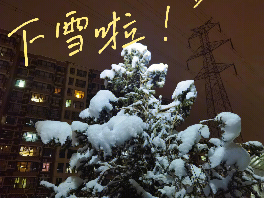 下雪啦