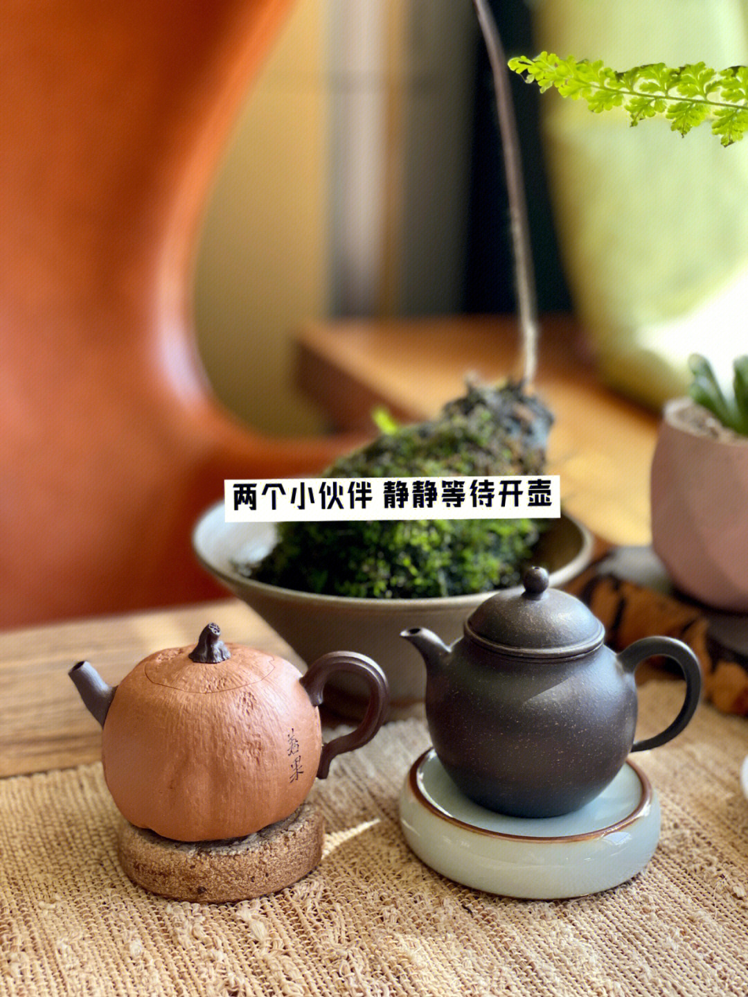 宅家喝茶开启小小紫砂壶开壶按钮