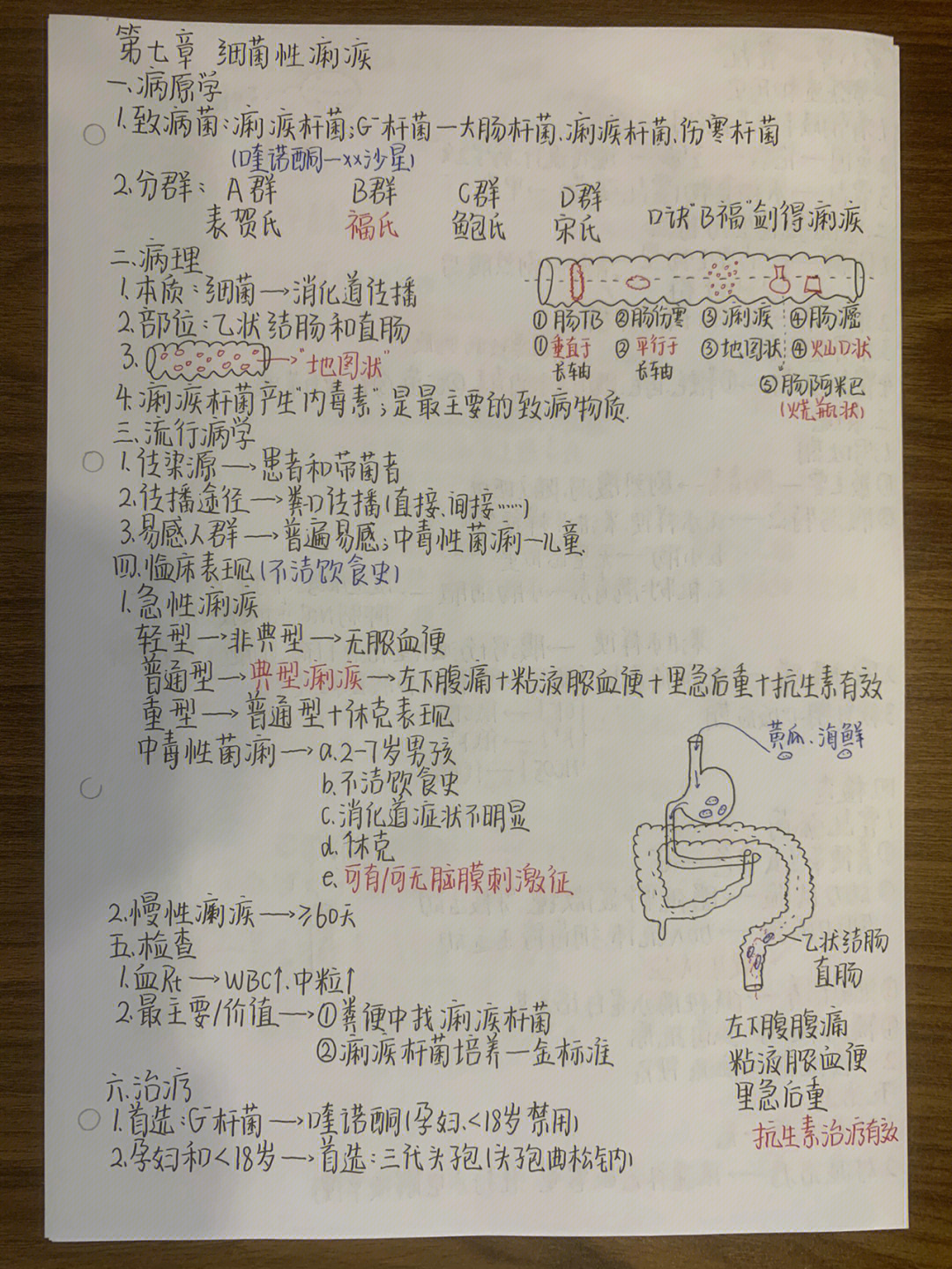 细菌性痢疾实验报告图图片