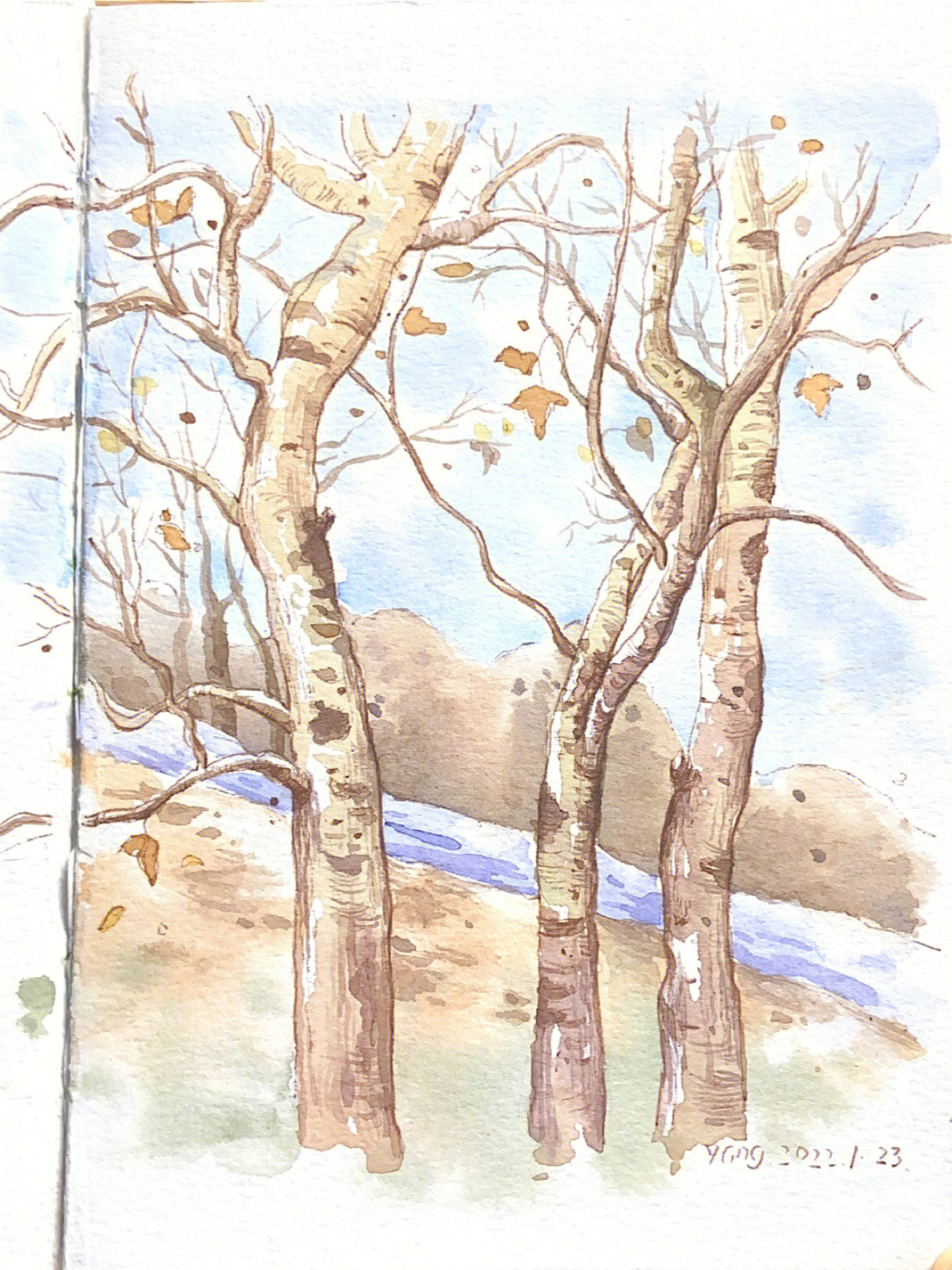 钢笔淡彩第166566弹冬天的树